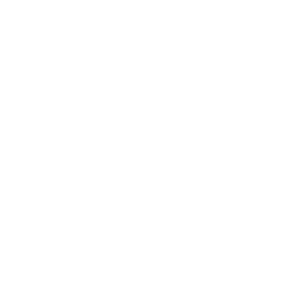 Brockway Pub Logo in white